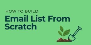 Read more about the article How to Build an Email List from Scratch?
